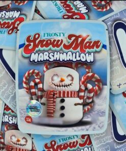Frosty Snowman Marshmallow